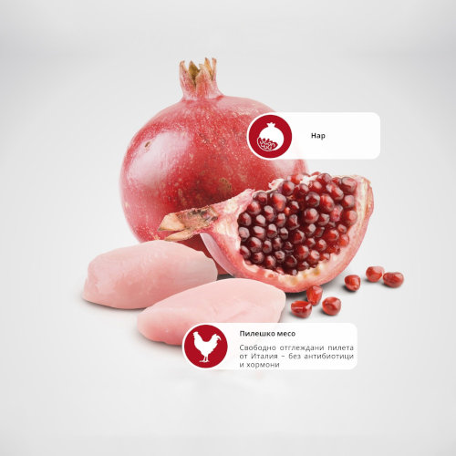 N&D PRIME Puppy Mini & Medium Chicken & Pomegranate - Image 2