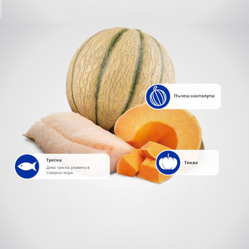 N&D Ocean Dog Cod, Pumpkin & Cantaloupe Melon Puppy Medium & Maxi 12kg - Image 3