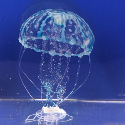 JBL MotionDeco Medusa XL BLUE Орнамент медуза XL синьо: движеща се, за аквариуми - Image 2