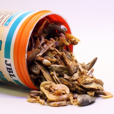 JBL Energil Main food for turtles and pond terrapins - Image 2