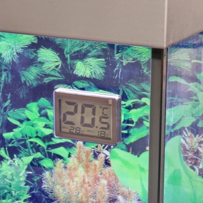JBL Aquarium Thermometer DigiScan Alarm Digital adhesive thermometer for aquarium panes with alarm function - Image 7