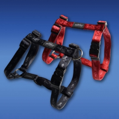 ROGZ Alpinist – Soft Webbing H-Harness GOLD - шлейка для собак — изображение 2