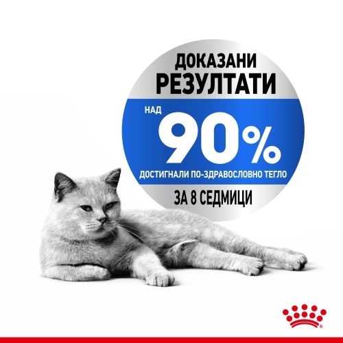 ROYAL Light Weight Care (in gravy) 85g - Image 3