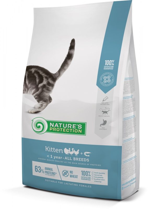 NATURE`S PROTECTION KITTEN - Image 2