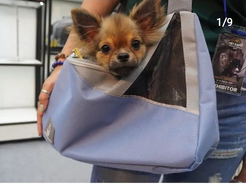 Zu&Lu KAIMAN - Tiny blue denim pet carrier - Image 8