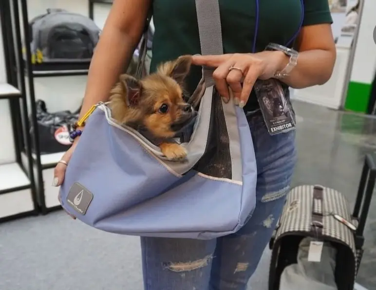 Zu&Lu KAIMAN - Tiny blue denim pet carrier - Image 9