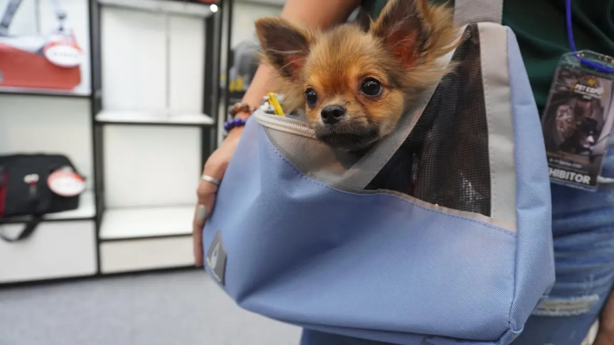 Zu&Lu KAIMAN - Tiny blue denim pet carrier - Image 6