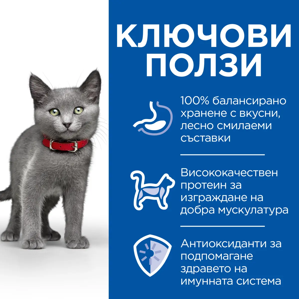 Hill's Science Plan Kitten Sterilised - Image 4