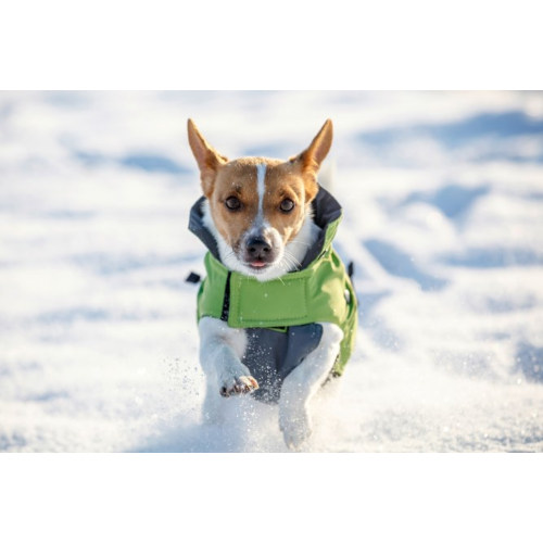 Dog Coat Kerbl Vancouver — изображение 10