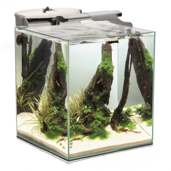 Aquarium AquaEL Shrimp SET DUO 35 – 49l