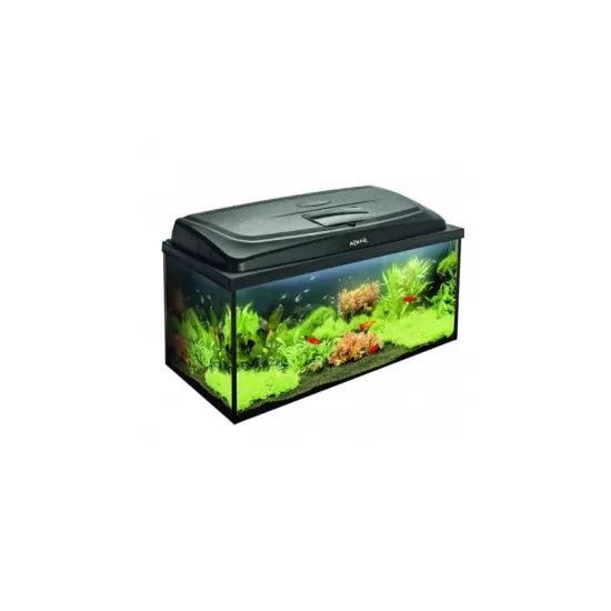 Aquarium AquaEl SET Classic PROMO BOX 80 PAP – 54l