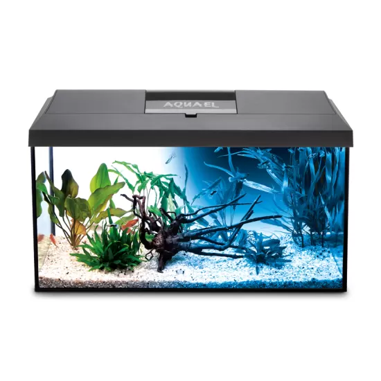 Aquarium AquaEL SET LEDDY DAY&NIGHT 60 – 54l