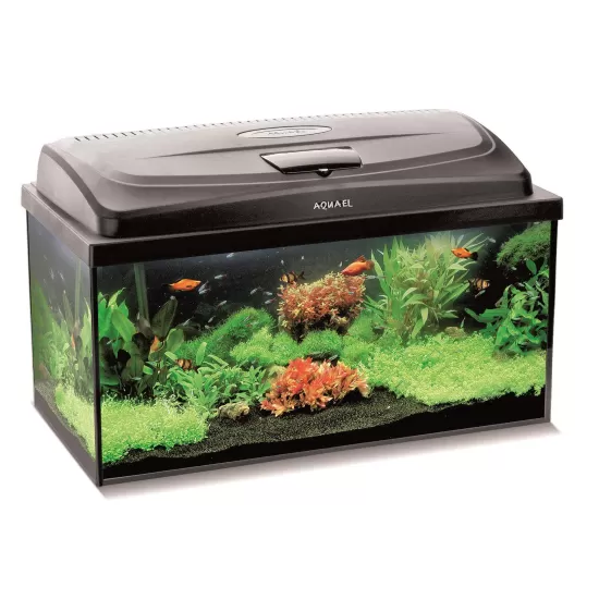 Aquarium Aquael Set Classic BOX 60 PROMO PAP – 54l