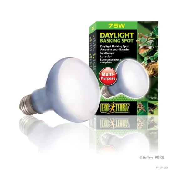 Exo Terra Day Glo Basking Spot Lamp