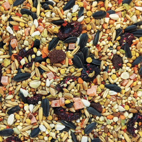 Hagen Gourmet Premium Seed Blend for Cockatiels - Image 2
