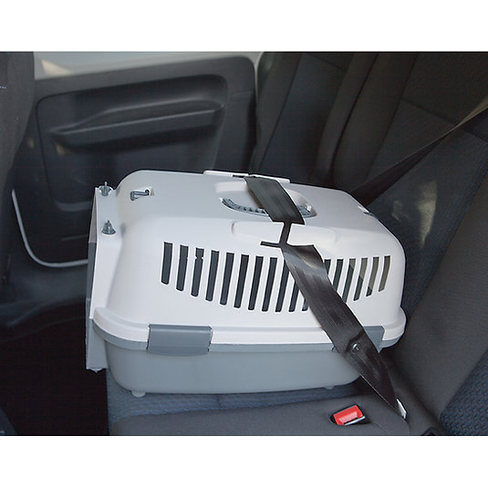 Petmax Crossland 1 pet carrier with plastic door - Image 5