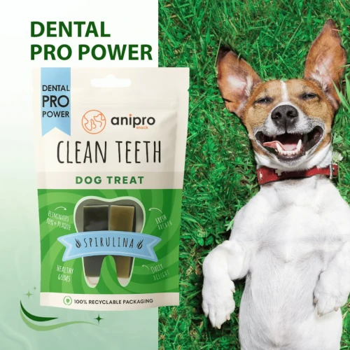anipro Dental Pro Power dog treat spirulina strips 84g - Image 3
