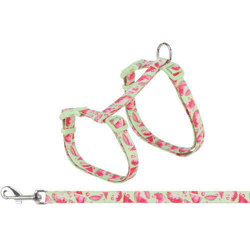 Trixie Cat Harness XXL with Lead