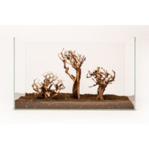 Aquadeco Etosha-Tree