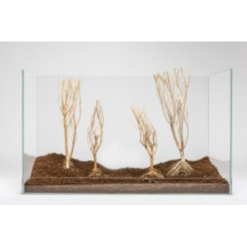 Aquadeco Slim Tree